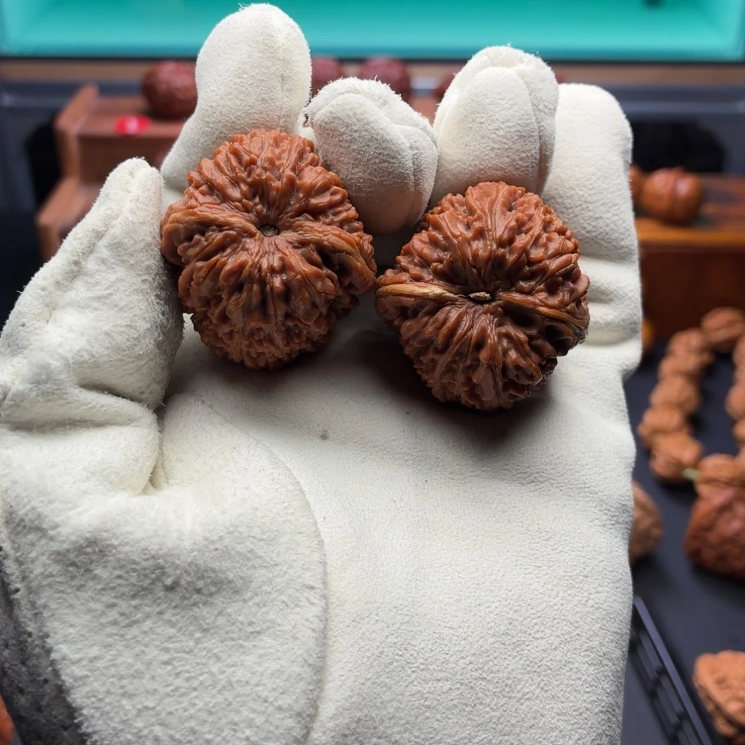 我***！文玩核桃把件蒜头