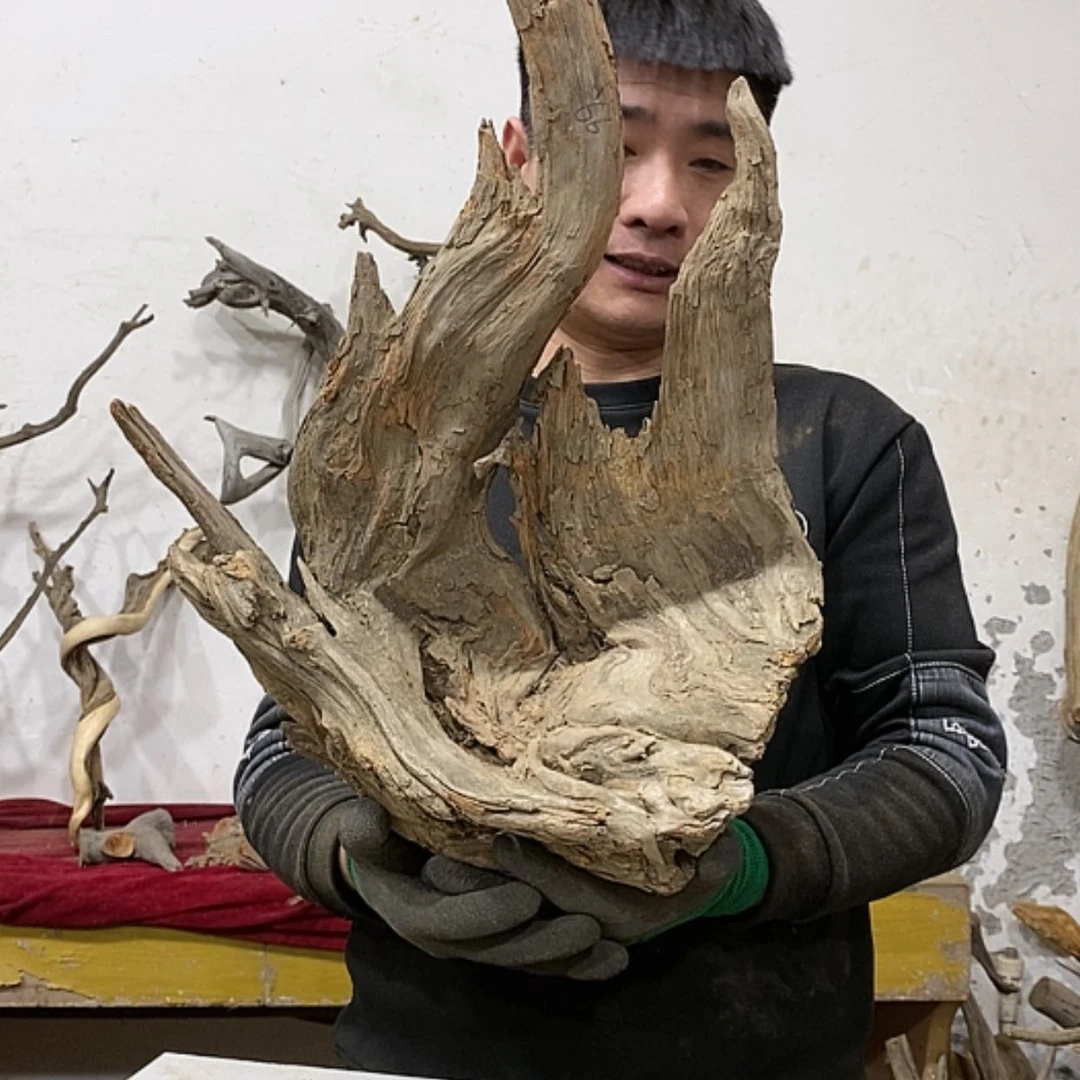 【闪购商品】柏木展****）我们的目标就是成为更