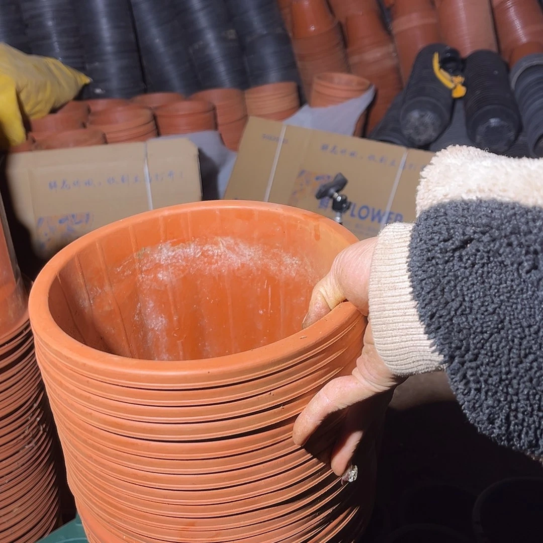 旧口径23高22红砖盆20个