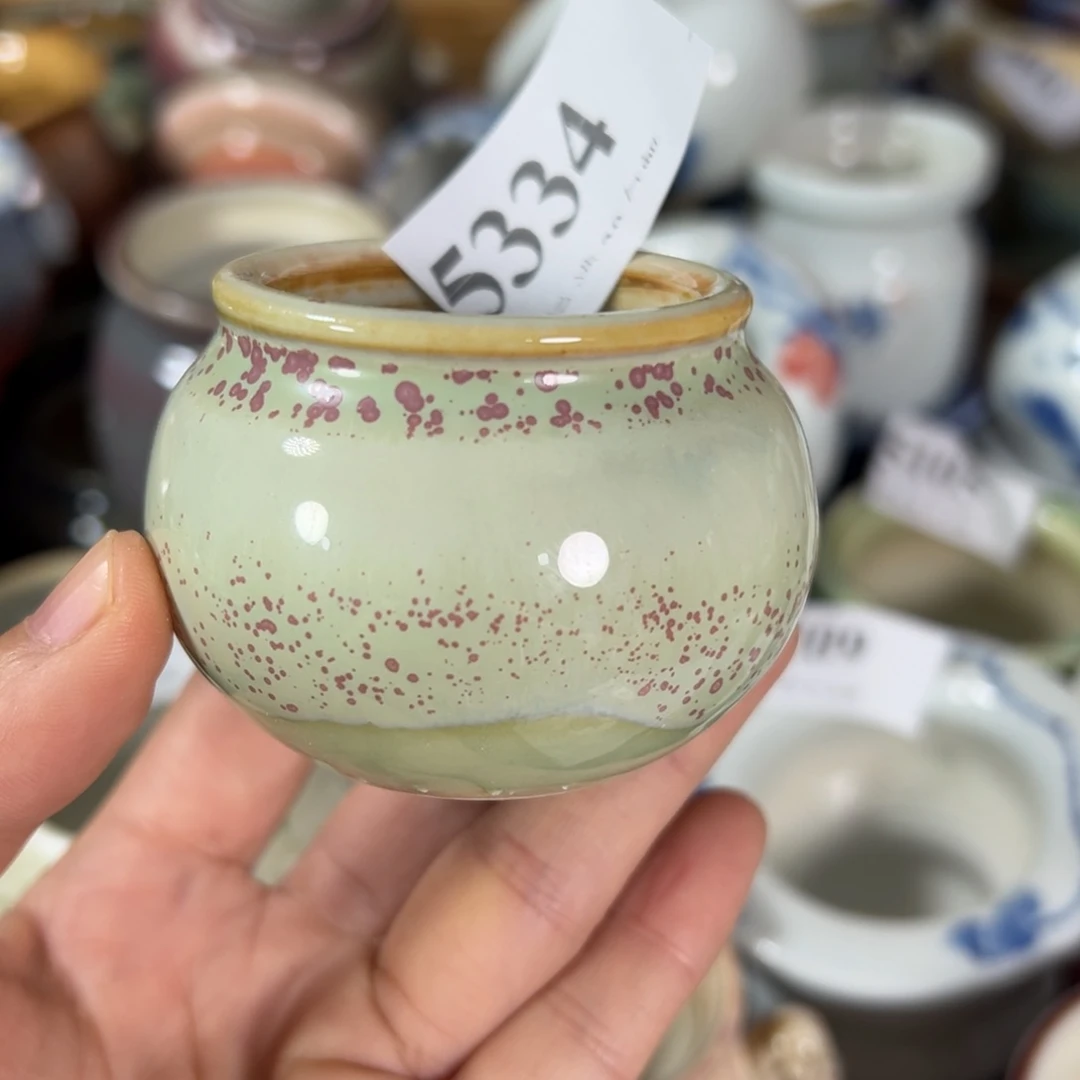 红陶景德镇陶瓷……