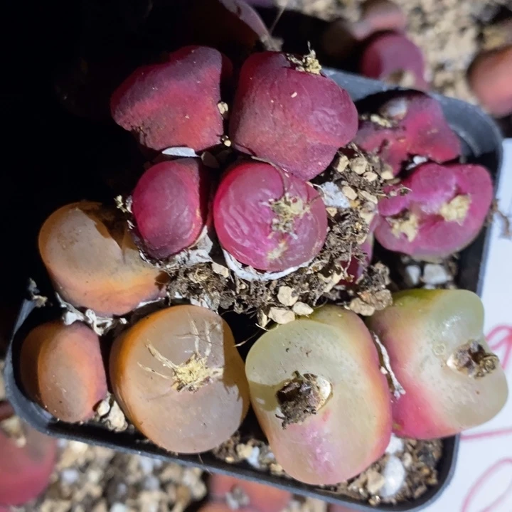 29247一组一组一组