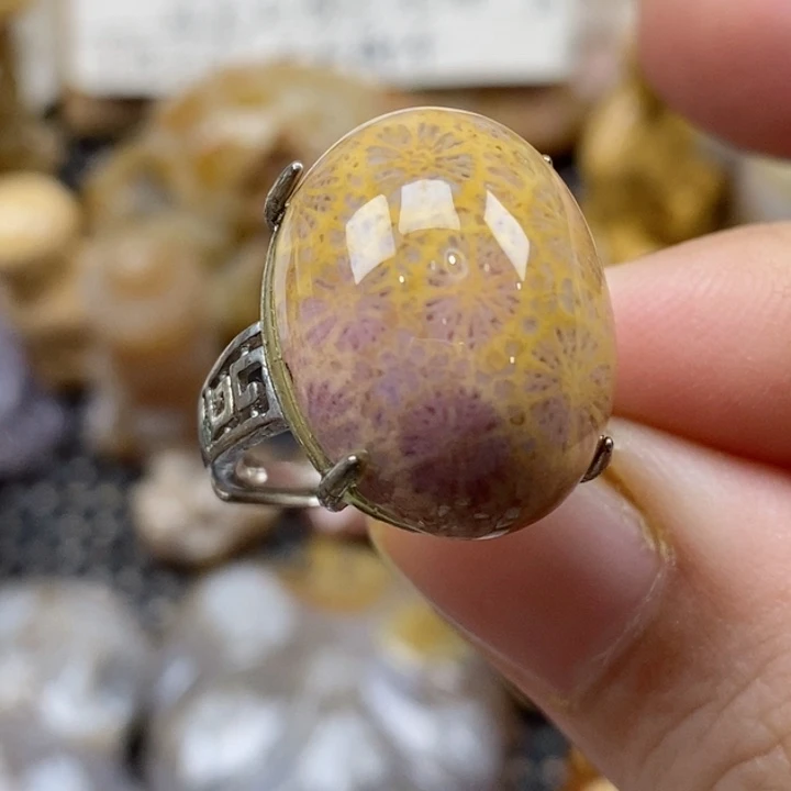 颈饰未镶嵌硅化珊瑚（珊瑚玉）