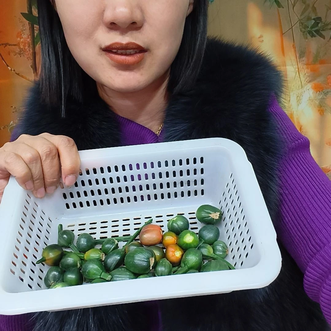 完全开放100000000