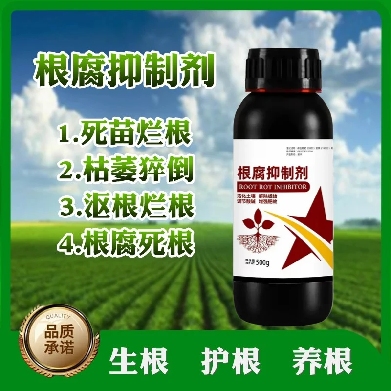 根腐抑制剂猝倒根肿根腐立枯死苗生根壮苗调理果树土壤重生新根