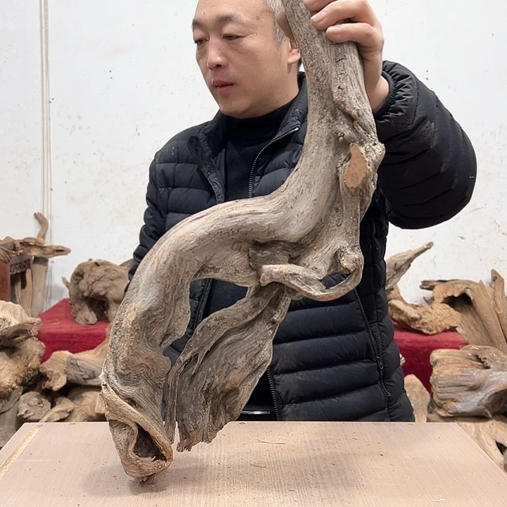 柏木屁***猫我们的生活是以自己为中心