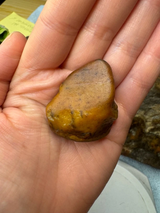 唐河石直播间选款