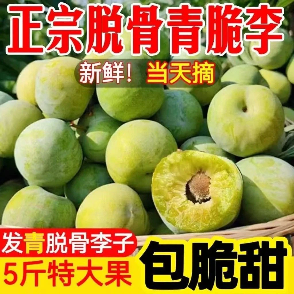 正宗贵州脱骨青脆李四月李新鲜应季水果