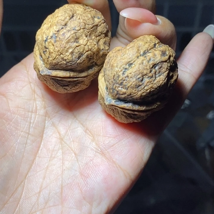 核桃云南野生铁核桃30号36mm