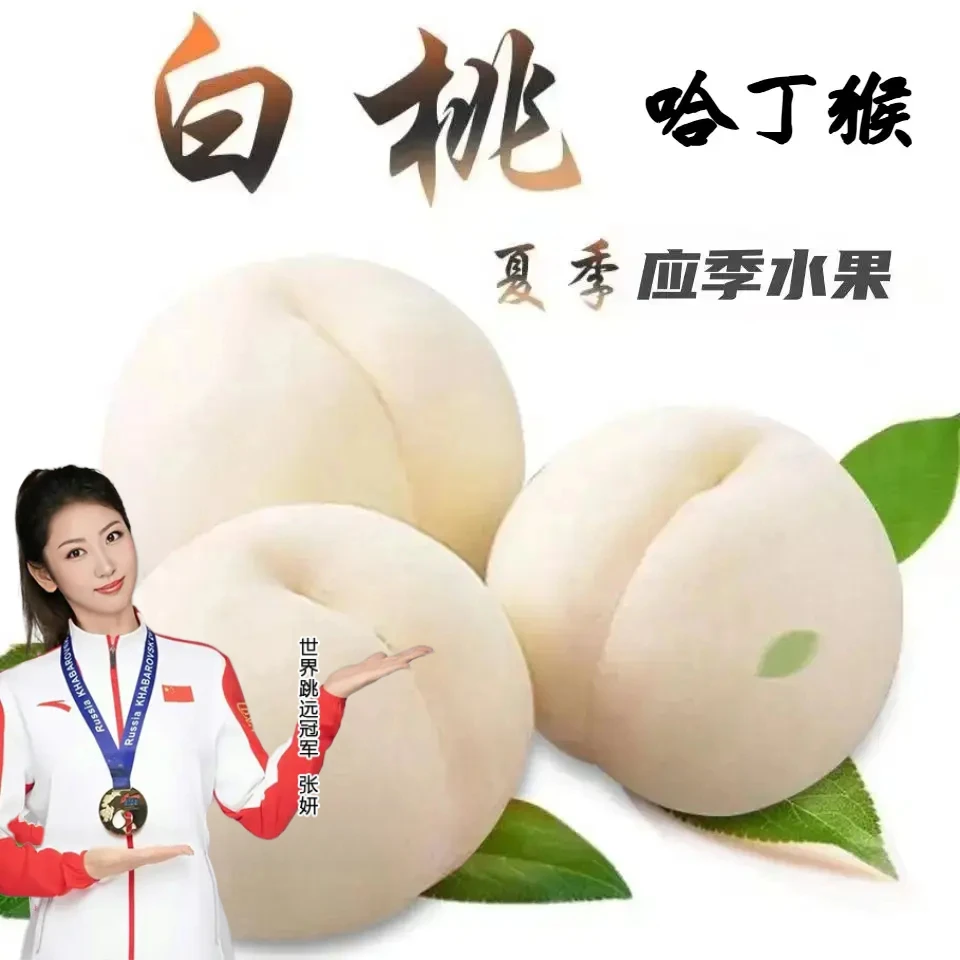 【白如玉】哈丁猴果农自卖奶油脆蜜桃白桃2-4.5斤新鲜现摘清甜爽口