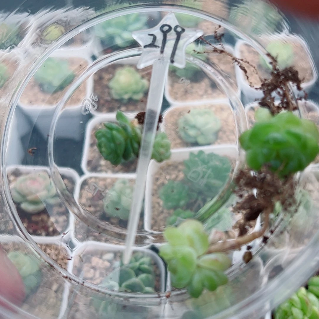 299哈哈哈哈哈哈哈哈