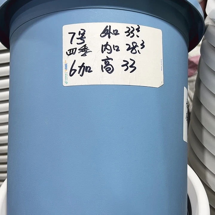 特价7号口33高33白色6只无托