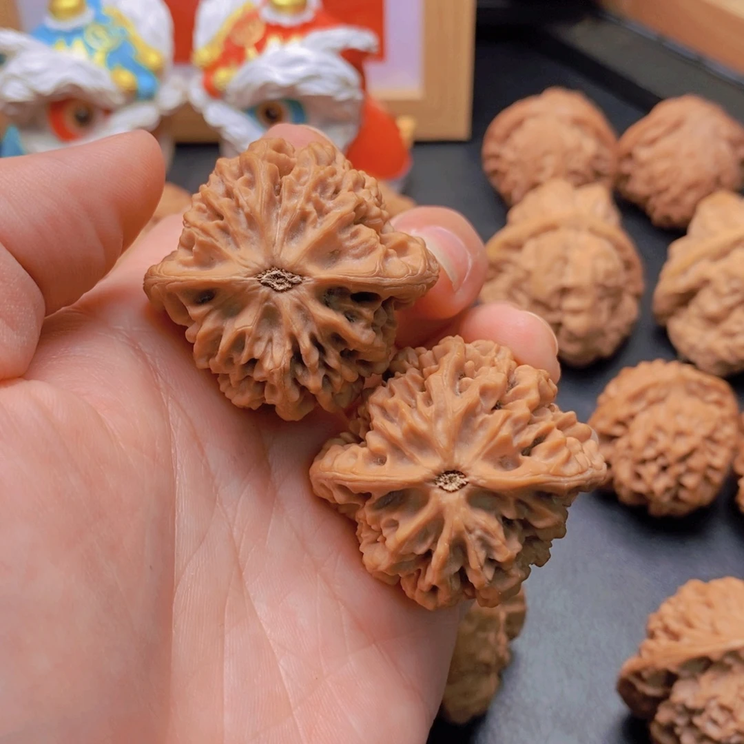 河***润39尺老树陕西秦闷A810