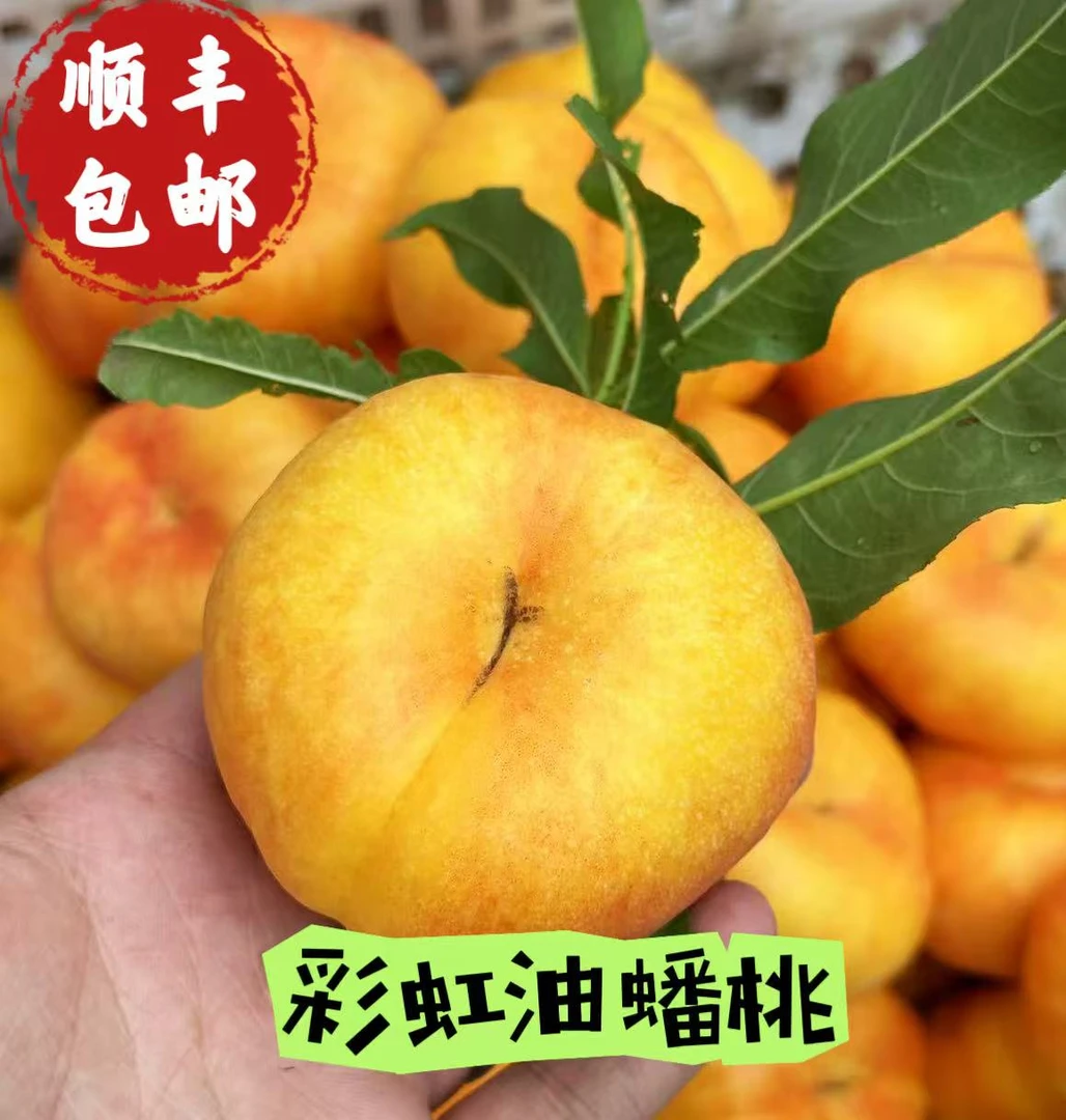 【顺丰包邮】彩虹蟠桃皮薄肉厚脆甜多汁新鲜水果产地直发