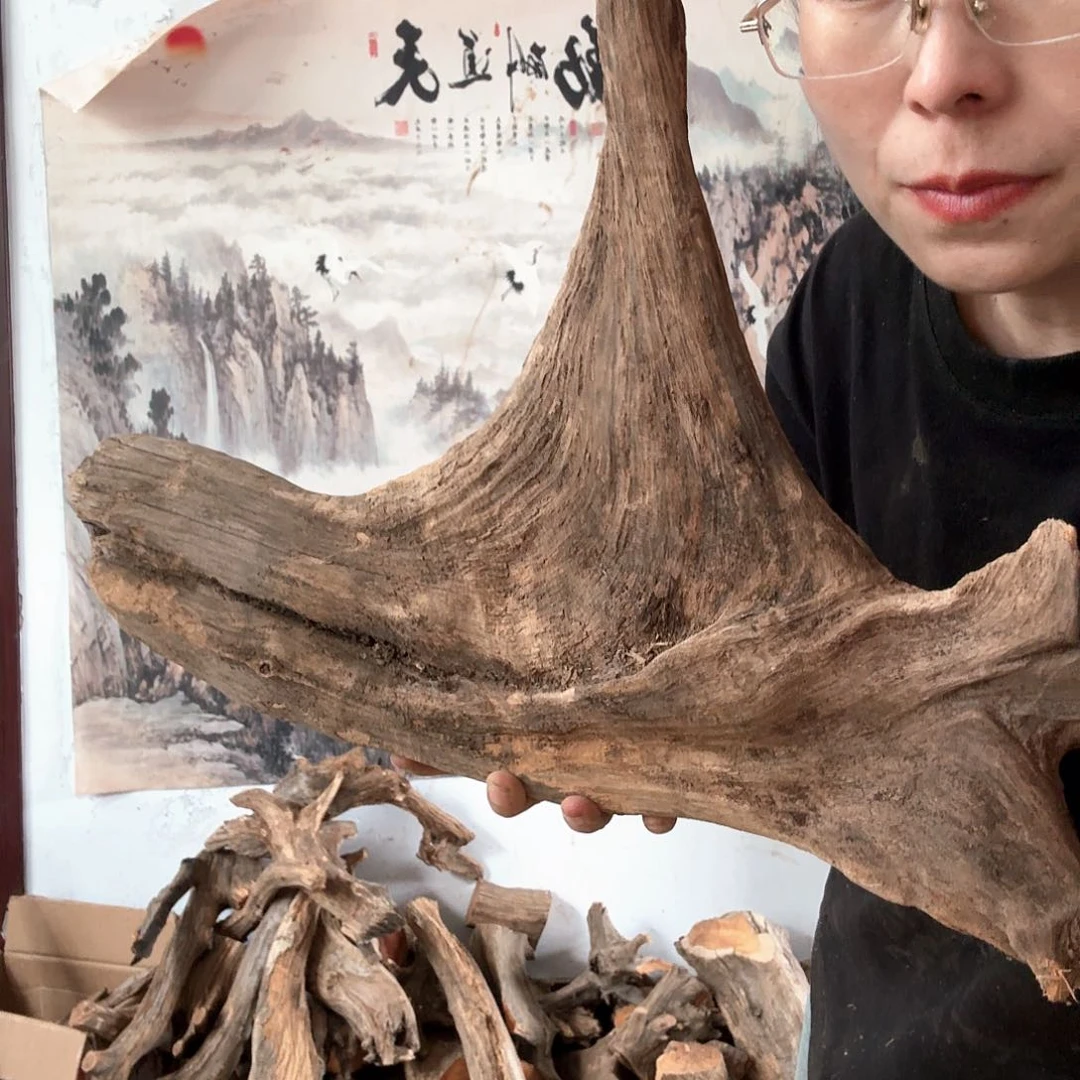 木用****4太行崖柏摆件