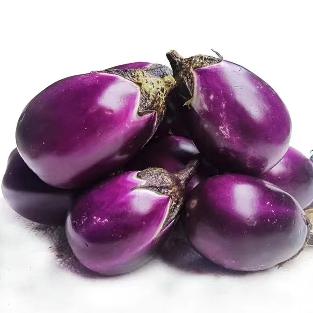 贵州关岭断桥农家新鲜现摘紫红茄子