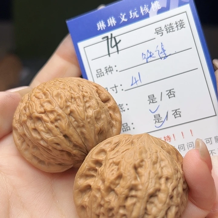 文玩核桃吊坠核桃树74
