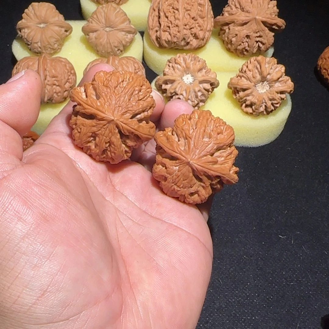 文玩核桃把件43大粗筋