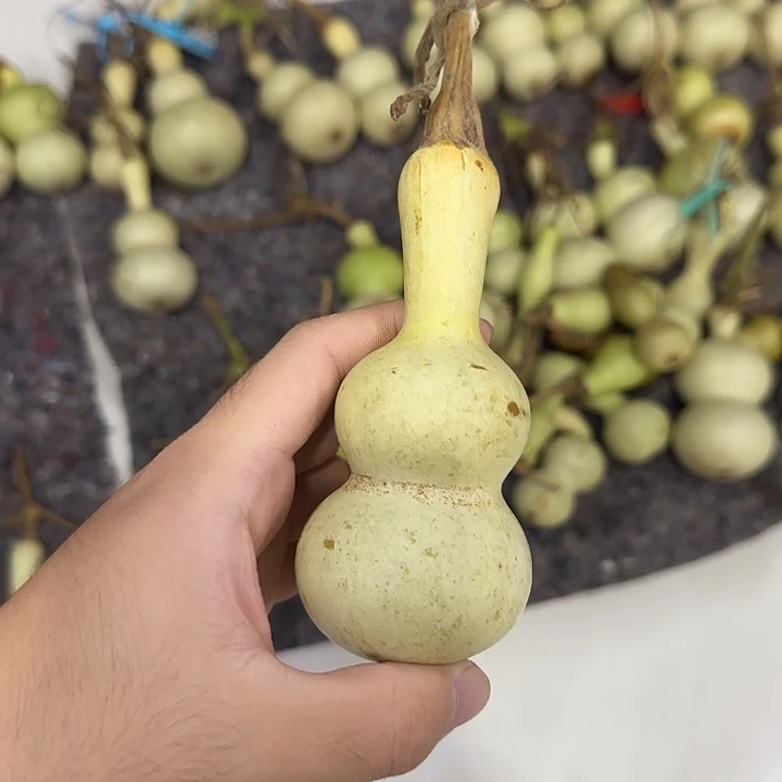 凡***人葫芦djsjsjsjdjskskssk