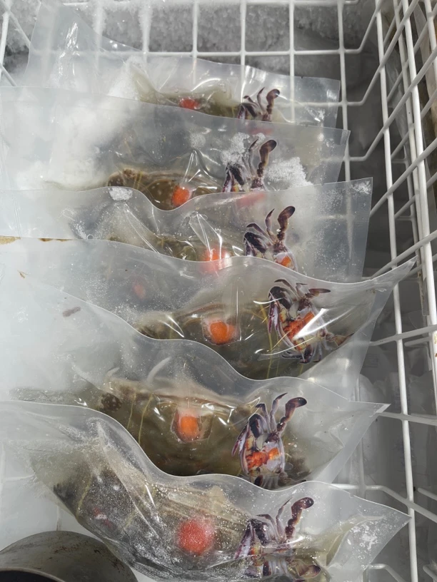 舟山红膏呛蟹每只8两到1斤内3只价格