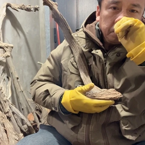 柏木旺**行崖柏毛料的