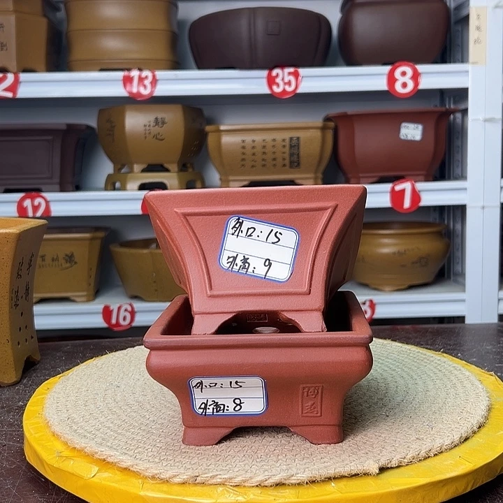 花盆紫砂蛇年大吉