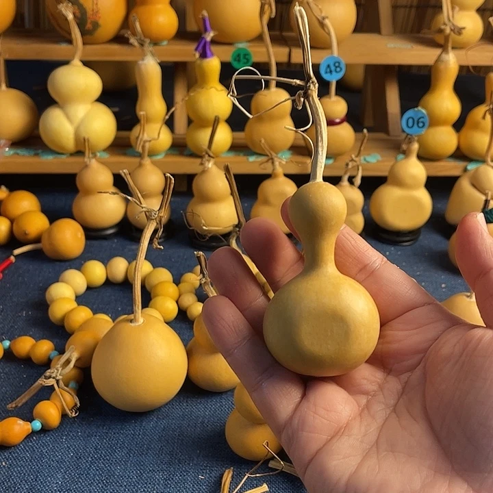 Y***g1111111111111111111111