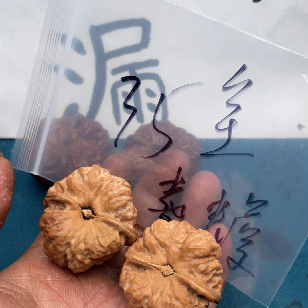 W49636969364979449647