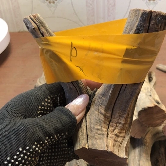 大果紫檀（缅甸花梨）释**?