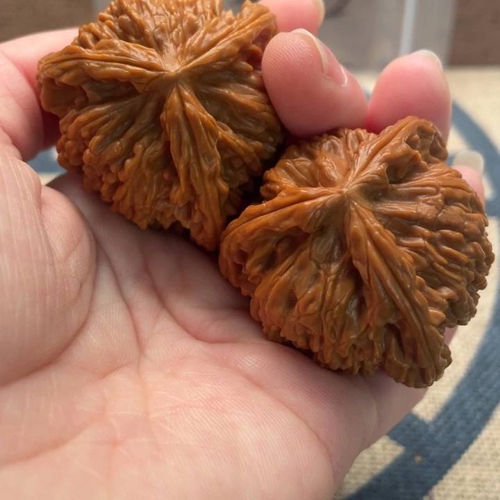 ****核桃白狮子41核桃