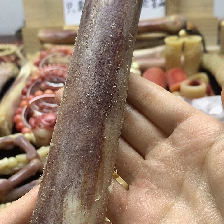 其他驼骨把玩整根