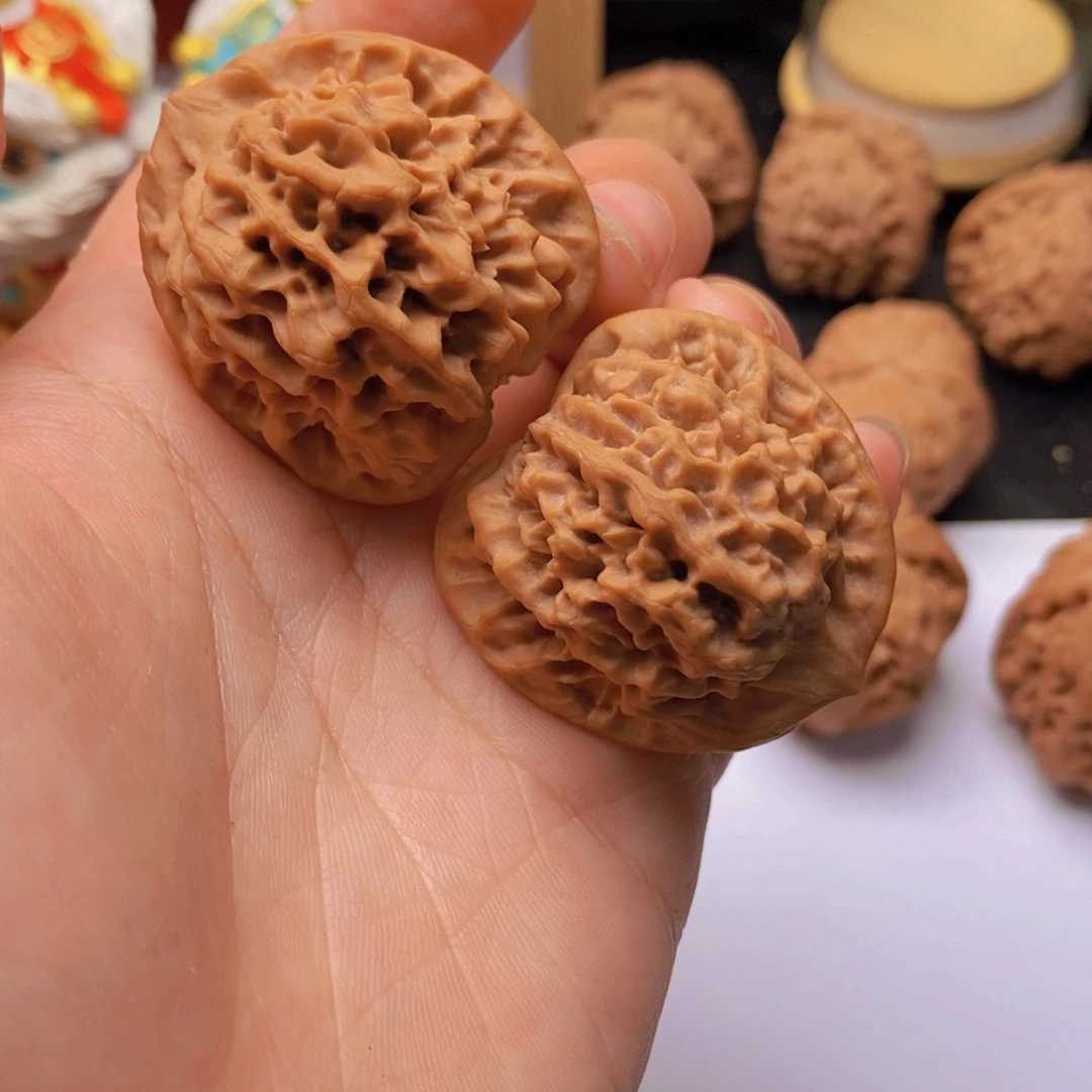 36尺全品老树陕西秦闷