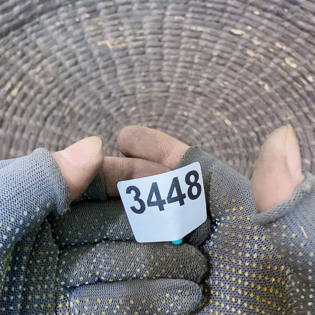 *****光明的未来是一个3448
