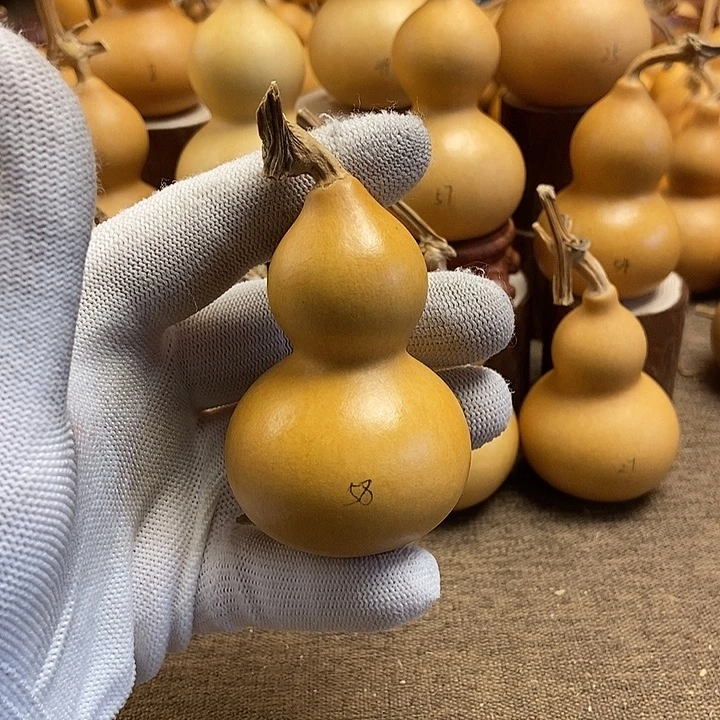 文玩葫芦 完美主义者 慎拍58