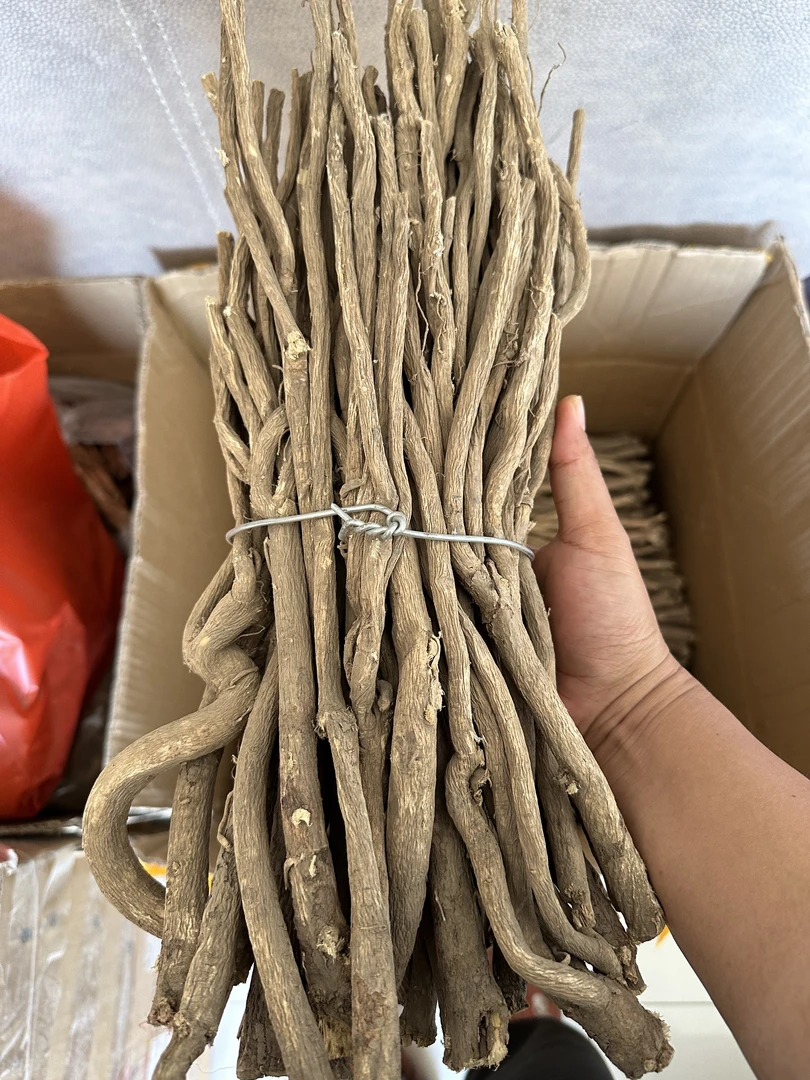 【阿宝下山货】西藏波密野生黄芪可委托切片