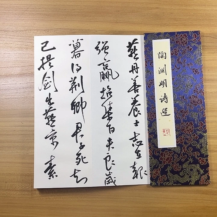 书法中书协会员作品