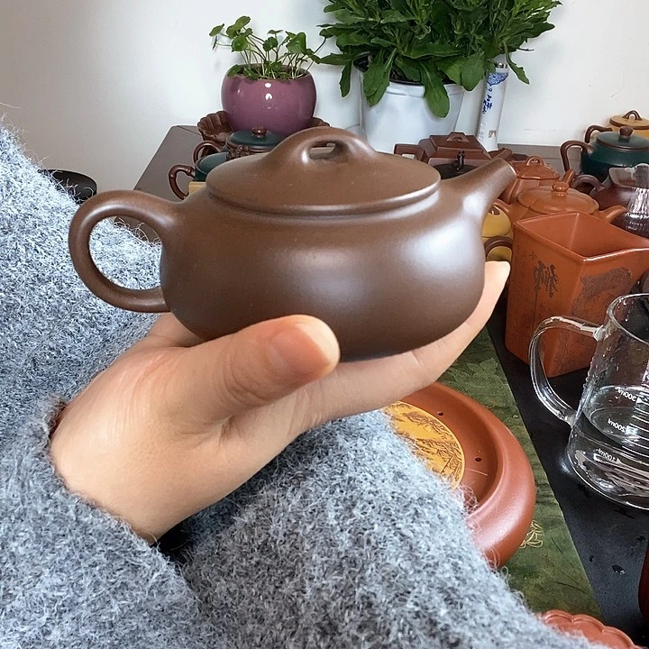 茶壶紫砂紫砂壶承紫砂茶宠