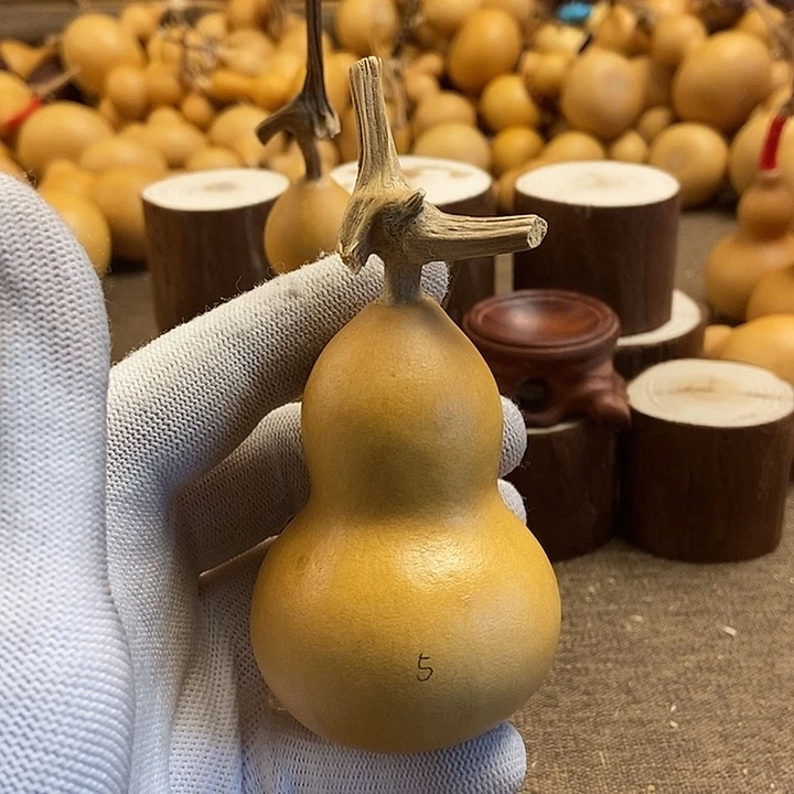 文玩葫芦 完美主义者 慎拍5