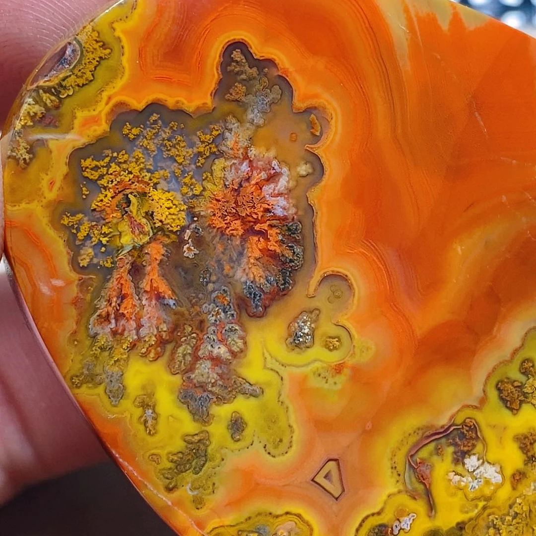 玛瑙/玉髓颈饰未镶嵌徽****家