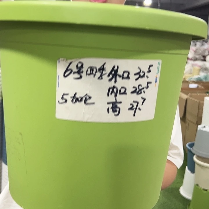 特价6号口32高27.7果绿色7只无托