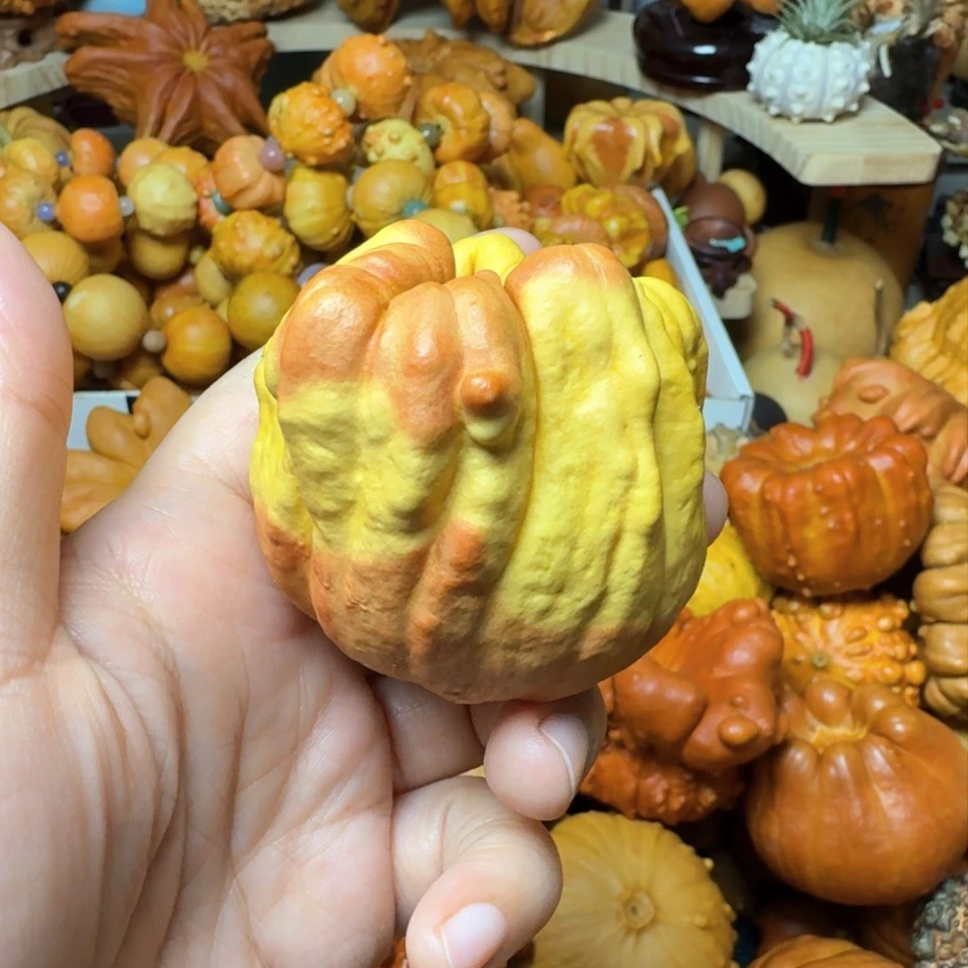 糖*特价葫芦不退不换