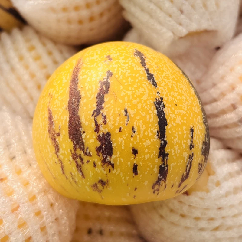 【机器选糖】云南石林鲜嫩黄肉人参果自然熟清甜爆汁低糖低脂圆果