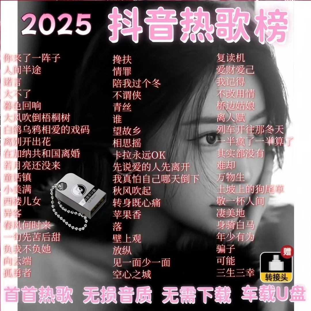 无损柏林之声流行热歌榜高音质2025抖音火爆经典 车载音乐U盘MP3