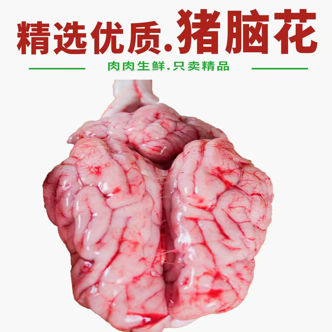 新鲜猪脑花整个发货一单16个