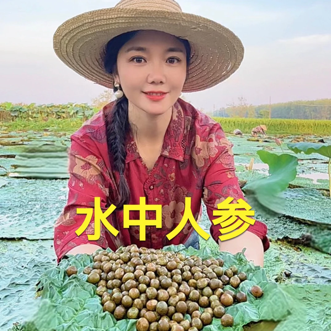 淮滨特产水八仙之一芡实 鸡头果中大果10-12