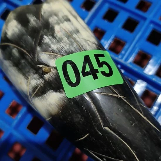 小***烤民俗文化研究研究