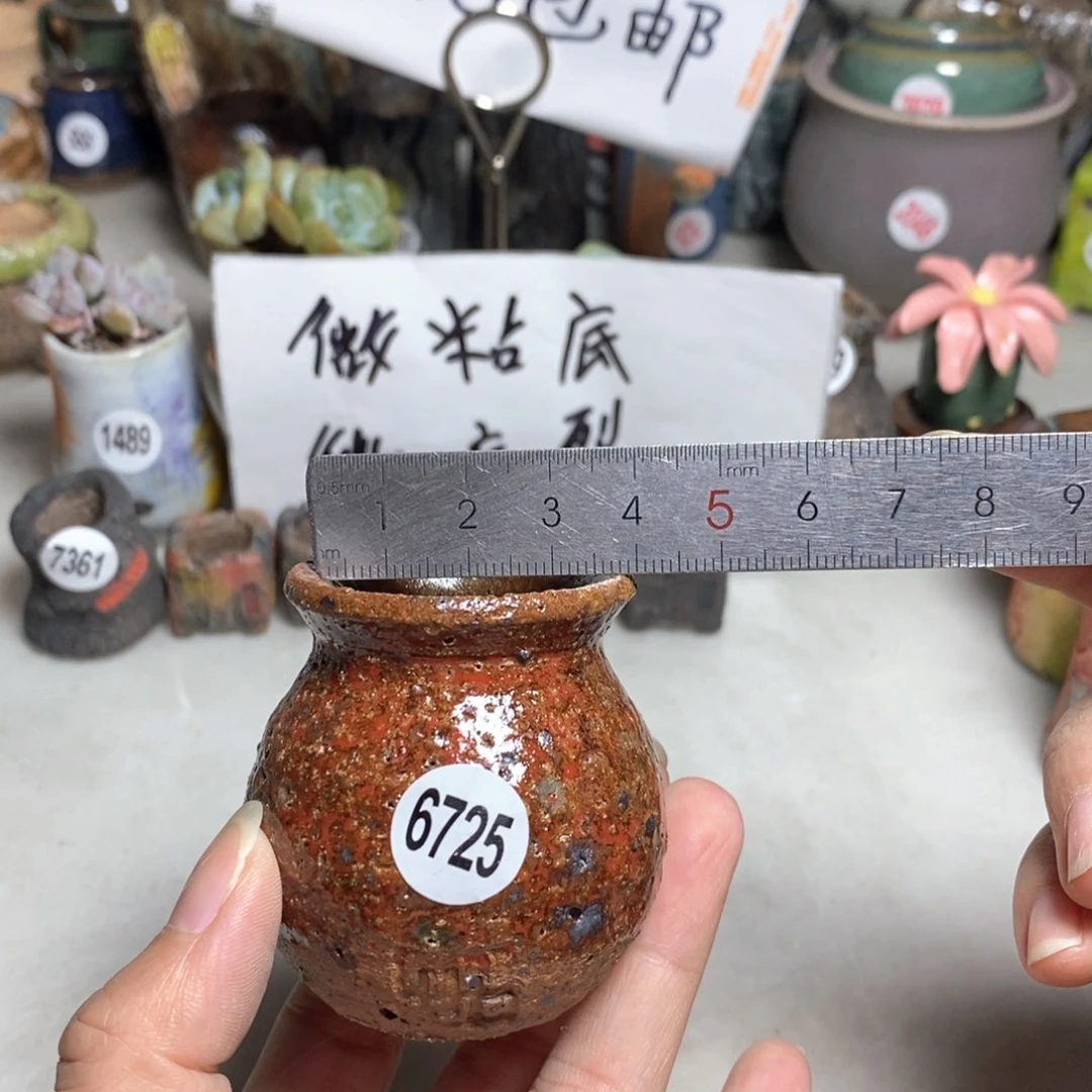 拍5送一个小礼物