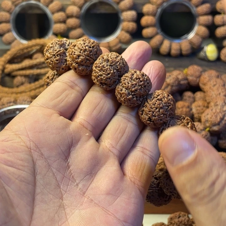 硕***果金刚菩提手串梁王