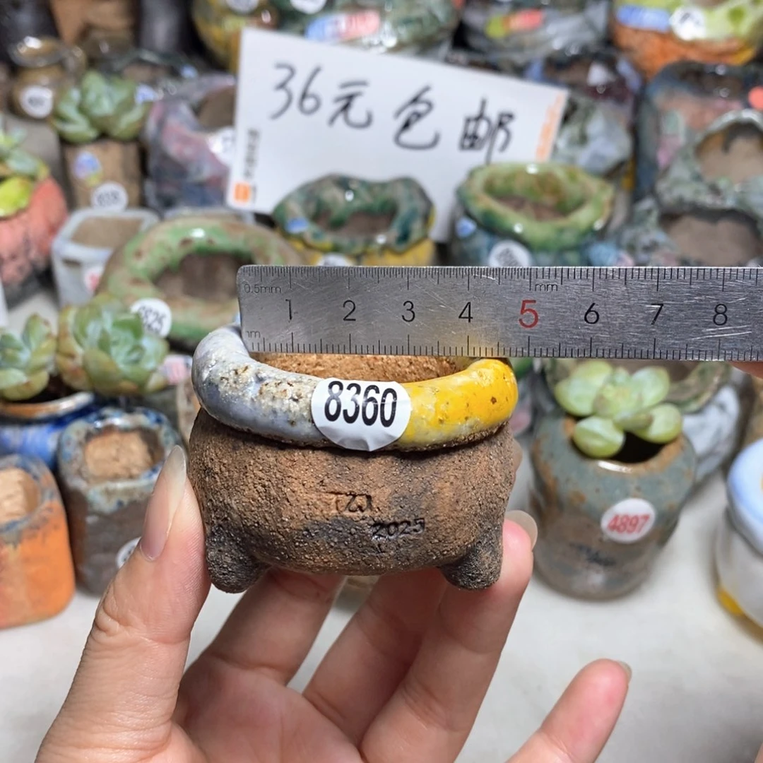 拍3送一个小礼物