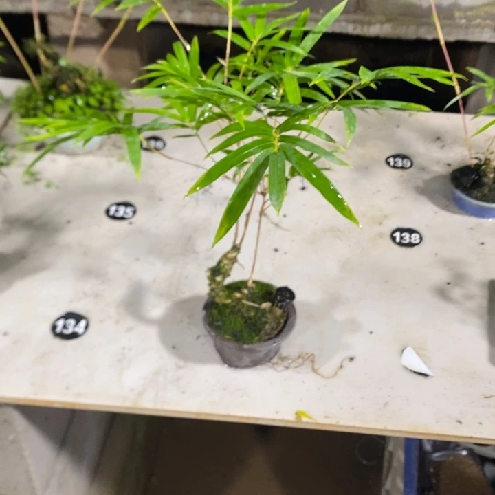 大***煌完全开放退款拉黑 29