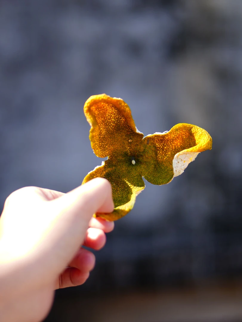 2025年新会柑皮东甲圈枝二红皮350g布袋装